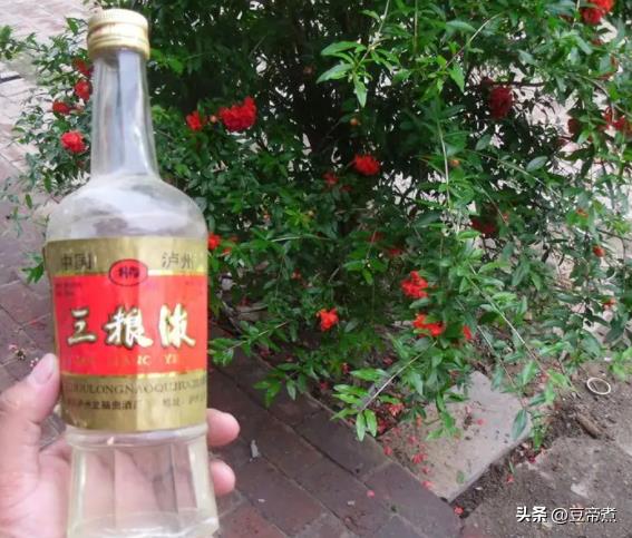十款便宜又好喝的白酒粮食酒介绍(十大平民粮食酒)