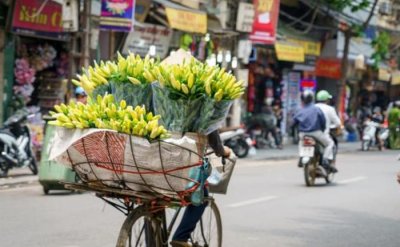 ​越南100万人民币算有钱吗（100万越南币值人民币多少钱）