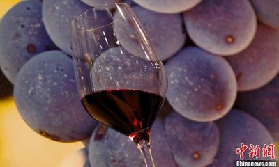 ​五粮液鸡年发财(五粮液鸡年文化艺术典藏酒)