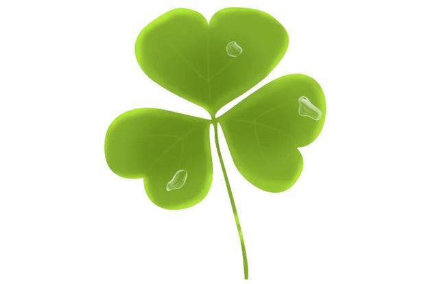 clover三叶草生物(Clover到底是三叶草还是四叶草)(3)