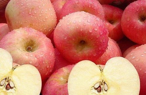 加力果和苹果哪个营养价值高(加力果和苹果哪个好吃)
