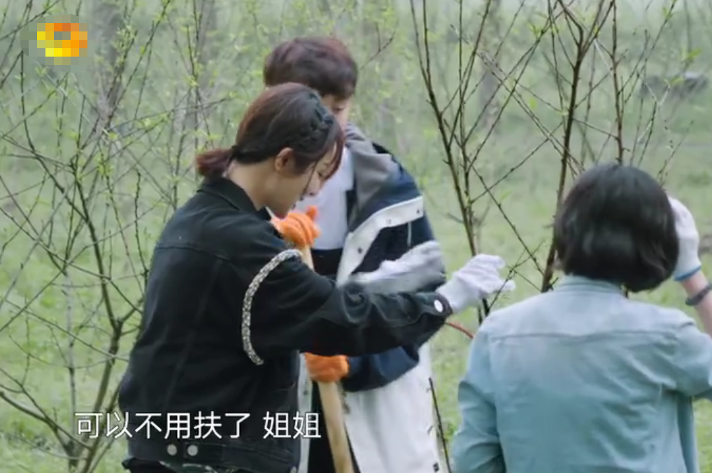 张艺兴与杨紫穿同款睡衣互称姐弟,拒绝黄磊做媒,三连击破碎绯闻