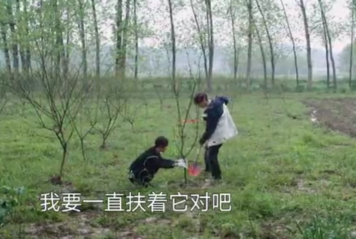 张艺兴与杨紫穿同款睡衣互称姐弟,拒绝黄磊做媒,三连击破碎绯闻