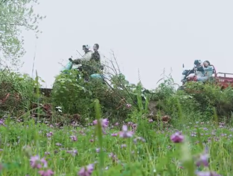 张艺兴与杨紫穿同款睡衣互称姐弟,拒绝黄磊做媒,三连击破碎绯闻