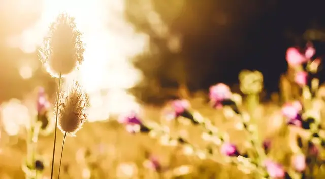 103岁的国学大师叶曼:活到百岁并不难!