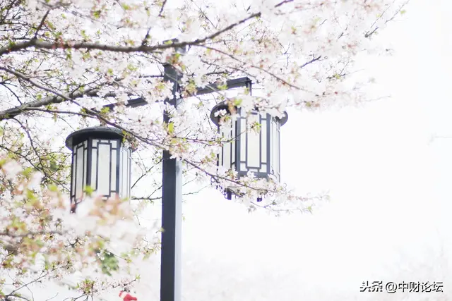 103岁的国学大师叶曼:活到百岁并不难!