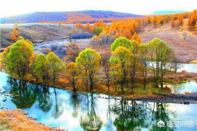 ​茅台小熊猫国(茅台集团2011年小熊猫价位)