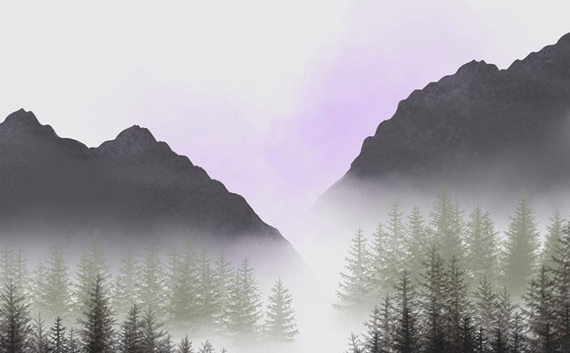 如何写网文小说大纲（小说大纲怎么写）