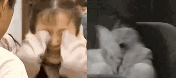 彭昱畅被吓成“彭可云”,《密室大逃脱4》效果真有如此强悍吗?