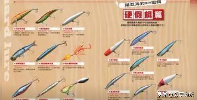 路亚新手小知识（路亚的简单介绍与专业术语解析）(2)