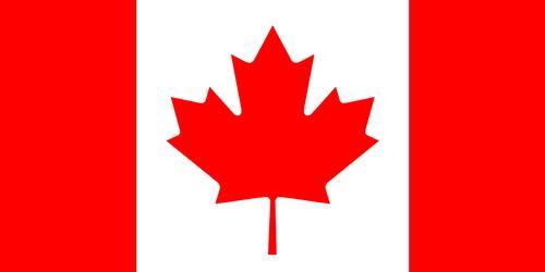 枫叶的特点简介（霜叶红于二月花）(13)