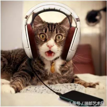 单田芳白眉大侠评书(单田芳评书)(8)