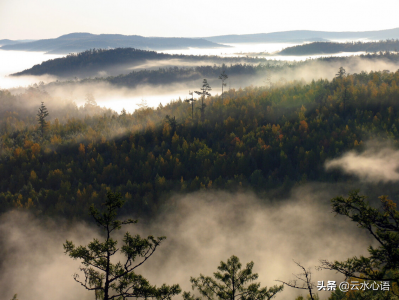 ​卢纶简介和作品（卢纶水平高超的诗作，人物形象惟妙惟肖，尽显威武雄壮的气概