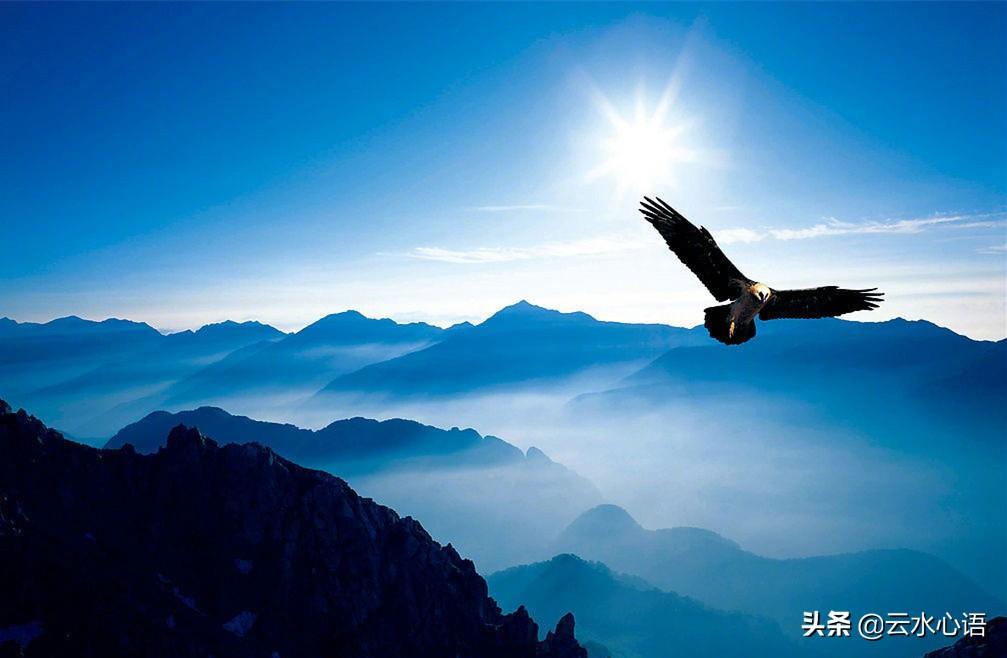 卢纶简介和作品(卢纶水平高超的诗作,人物形象惟妙惟肖,尽显威武雄壮的气概)