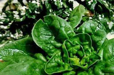 ​白发最怕三种菜