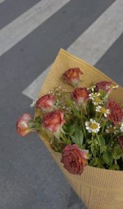 ​围绕中心意思写的作文500字《乐》(围绕中心意思写的作文500字《忙》)