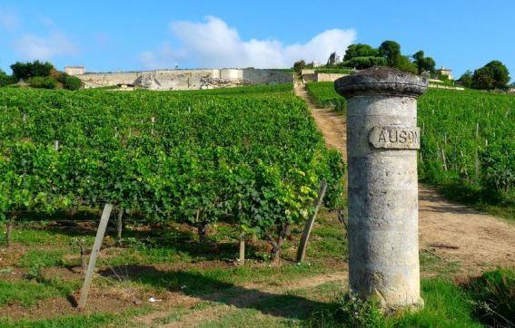 红酒品牌排行榜（世界顶级十大红酒排行榜）(48)