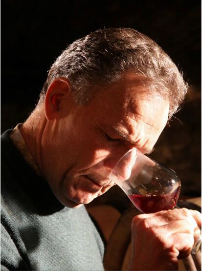 红酒品牌排行榜（世界顶级十大红酒排行榜）(12)