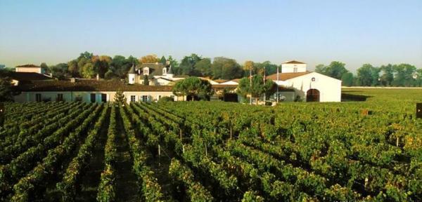 红酒品牌排行榜（世界顶级十大红酒排行榜）(70)