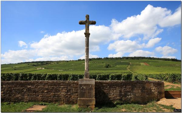 红酒品牌排行榜（世界顶级十大红酒排行榜）(4)