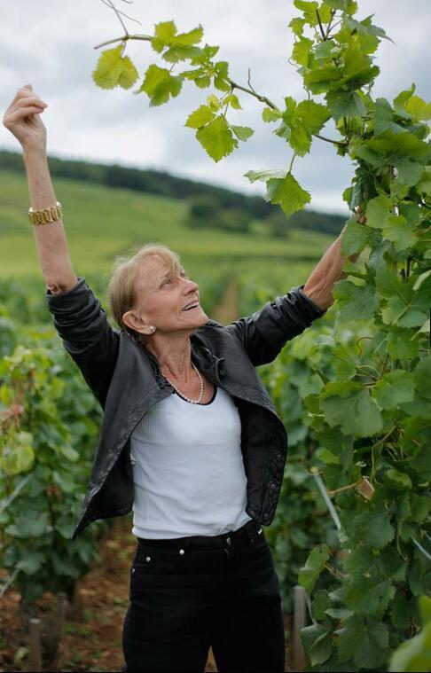 红酒品牌排行榜（世界顶级十大红酒排行榜）(31)