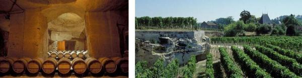 红酒品牌排行榜（世界顶级十大红酒排行榜）(50)