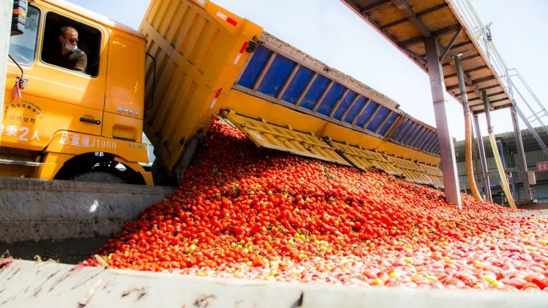 书记县长访谈 || 张峰：打造天山南坡高质量发展先行县