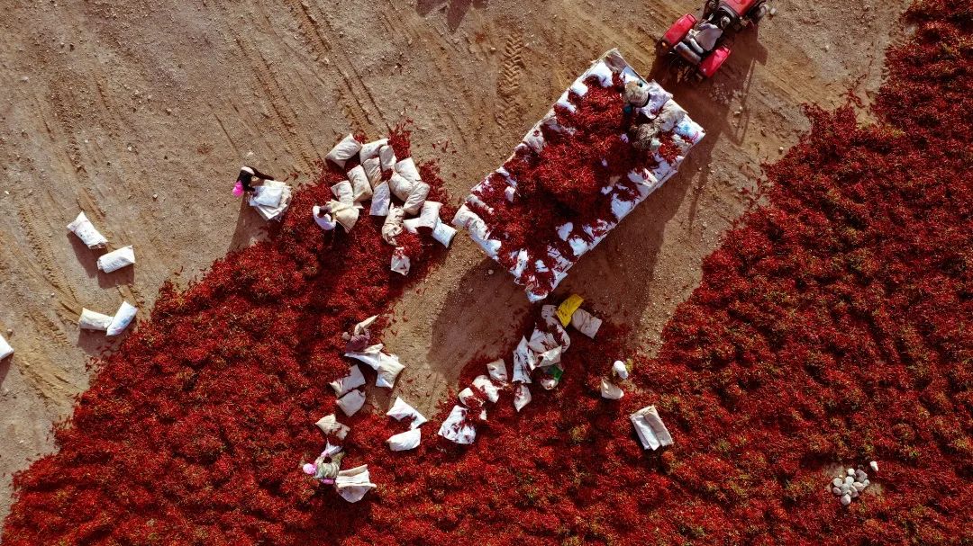 书记县长访谈 || 张峰：打造天山南坡高质量发展先行县