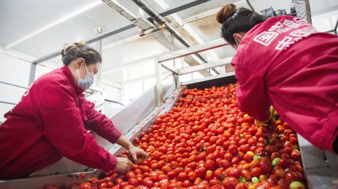 书记县长访谈 || 张峰：打造天山南坡高质量发展先行县