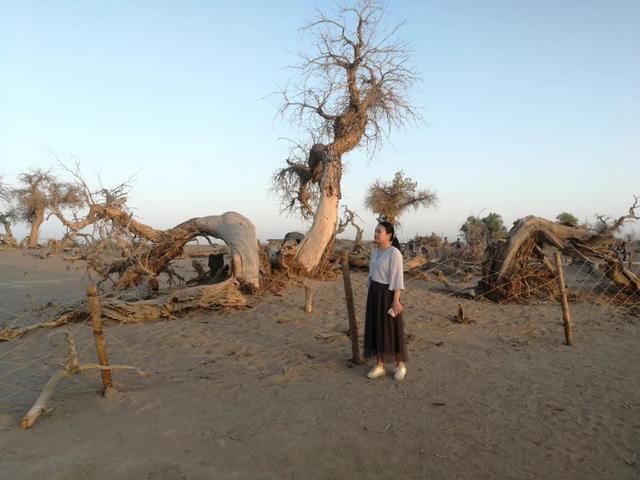 北京额济纳旅行攻略（额济纳最全旅游攻略）(6)