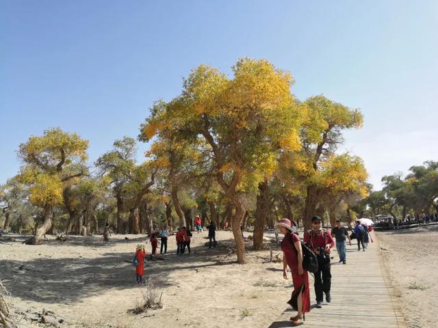 北京额济纳旅行攻略（额济纳最全旅游攻略）(5)