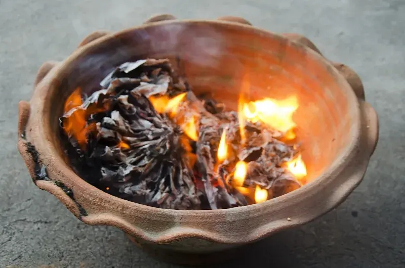 祭祖扫墓的意义(祭祖扫墓的来历)