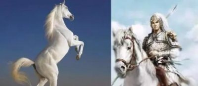 ​赵云的马叫什么(赵云的坐骑是什么马)