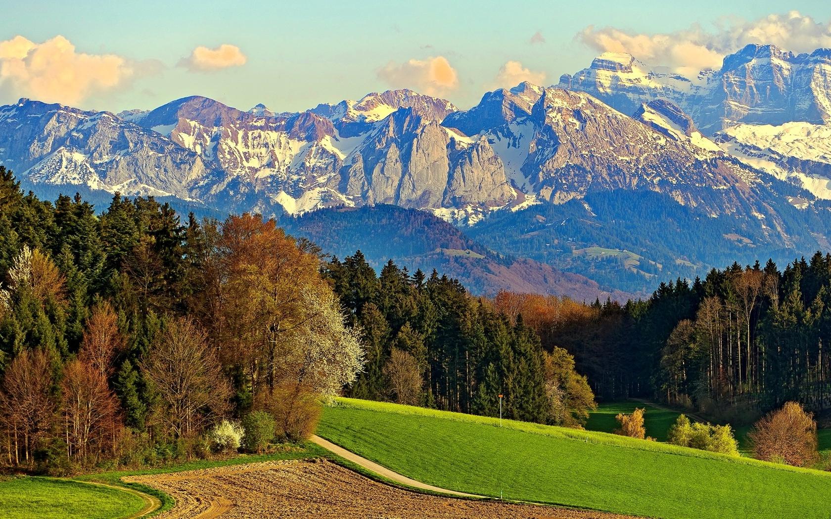 请问宁静致远是什么意思怎么解释（解释宁静致远的含义是什么）