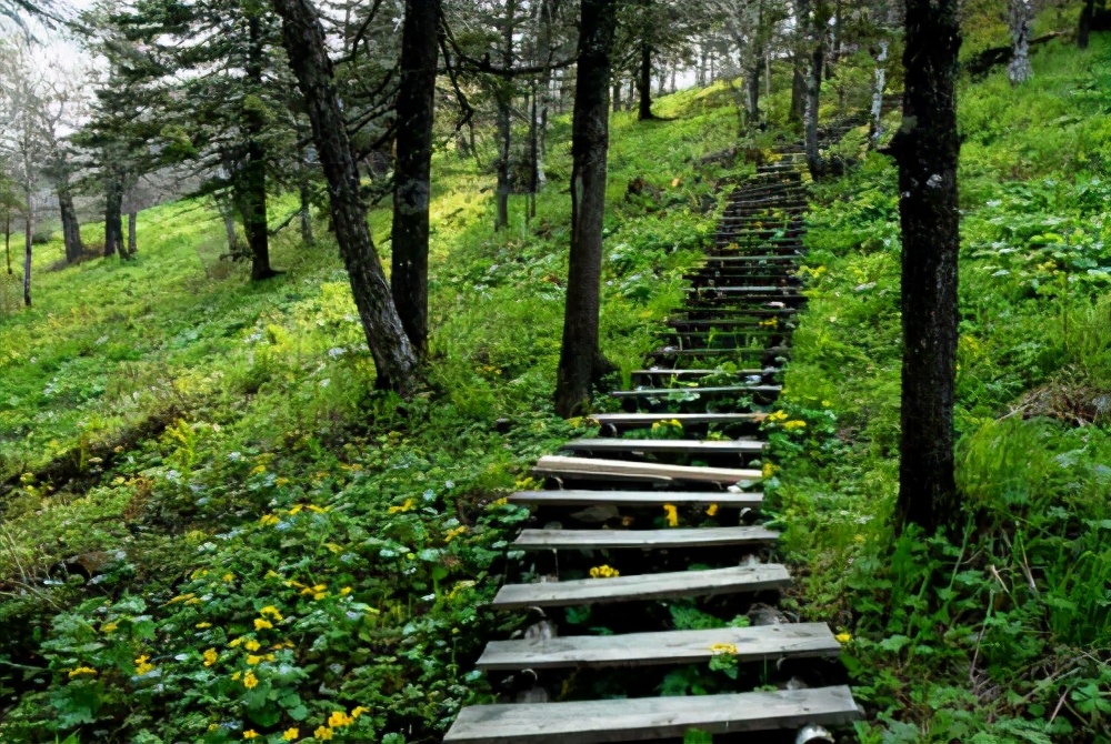 请问宁静致远是什么意思怎么解释（解释宁静致远的含义是什么）