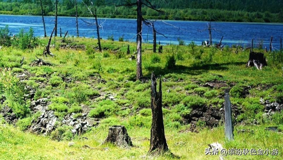 内蒙阿尔山旅游路线自驾(阿尔山旅游攻略必玩景点)