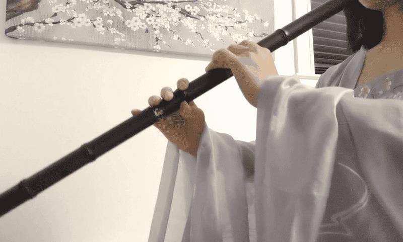 古诗词中关于音乐的诗句(描写音乐的诗句及赏析)