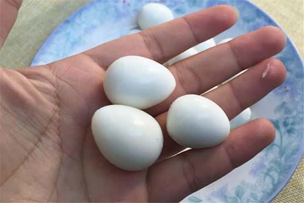 一克相当于几个鸡蛋(鸡蛋多少克一个)