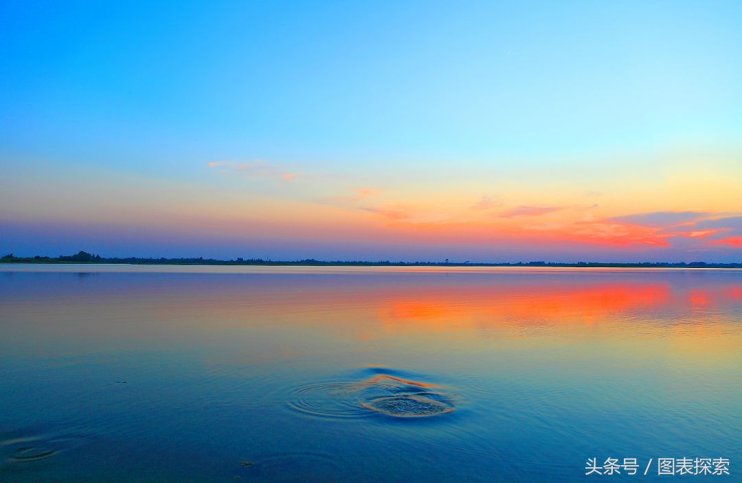 盐城是江苏省面积最大的地方吗(盐城属于哪个省哪个市)
