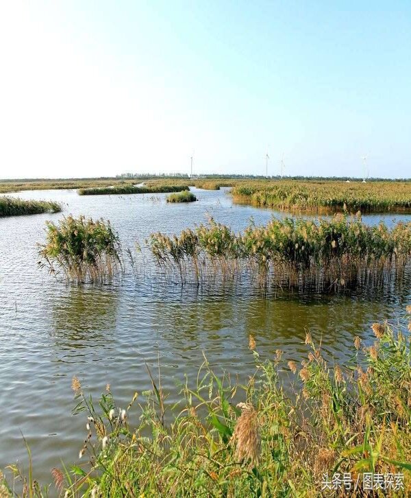 盐城是江苏省面积最大的地方吗(盐城属于哪个省哪个市)