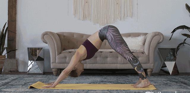 瑜伽是属于有氧运动还是无氧运动(瑜伽属于有氧还是无氧)