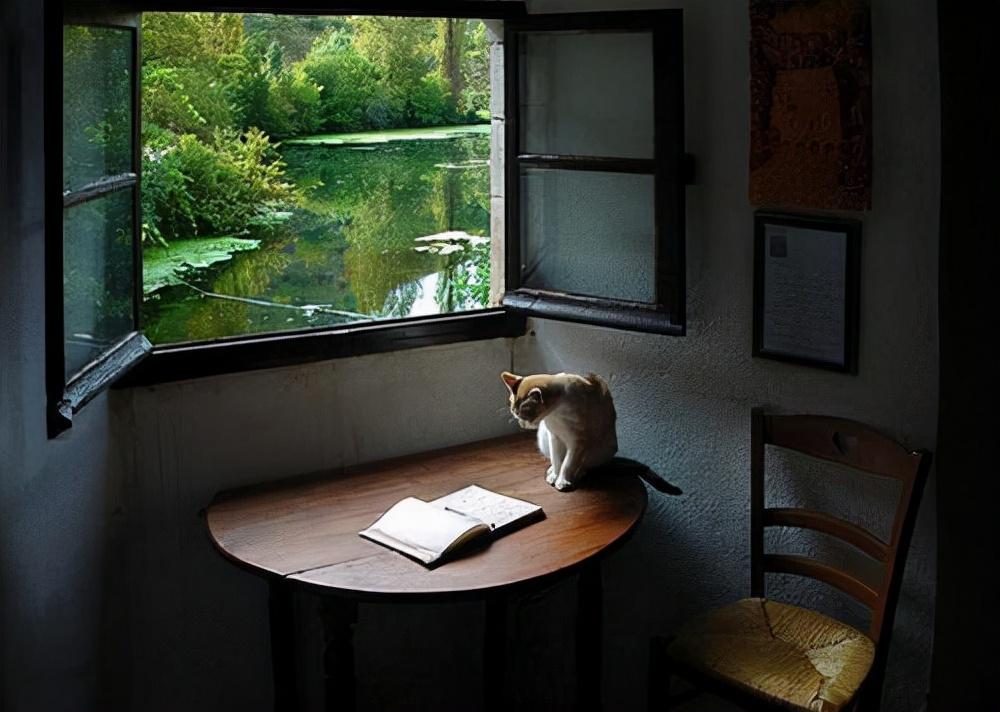 鲁滨逊漂流记中的人物及性格特点(鲁滨逊漂流记人物评价)