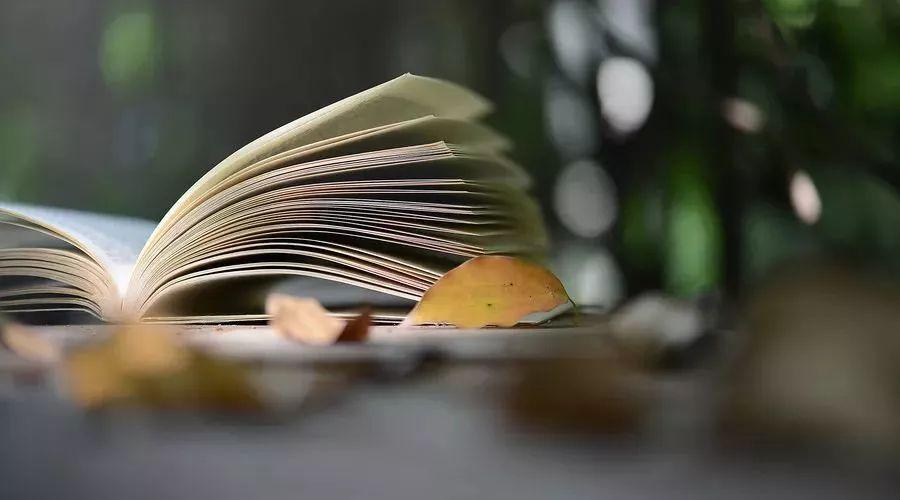 鲁滨逊漂流记中的人物及性格特点(鲁滨逊漂流记人物评价)