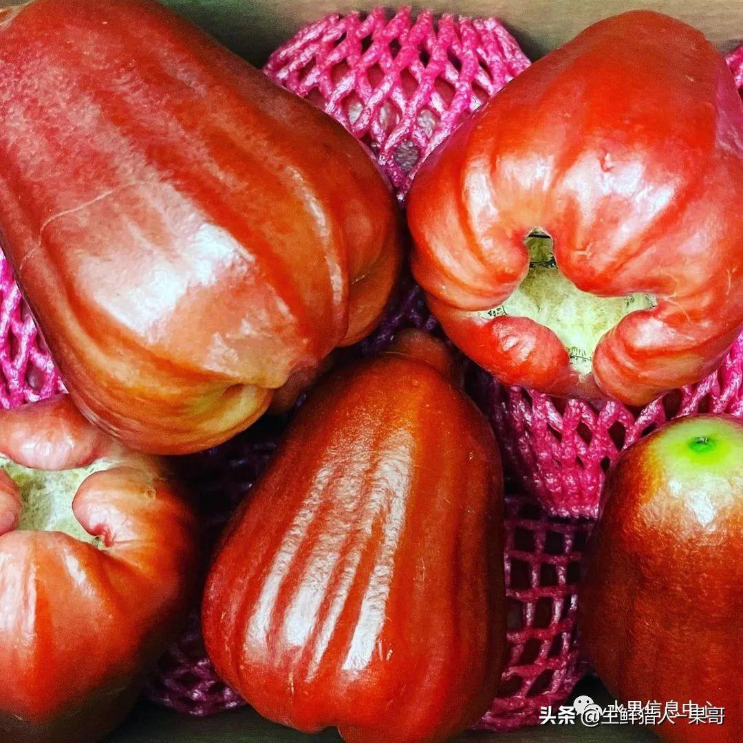 黑金刚莲雾是哪里产的（黑金刚莲雾是什么水果）