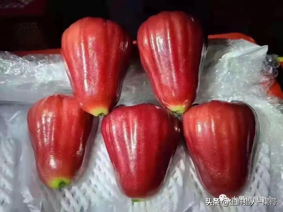 黑金刚莲雾是哪里产的（黑金刚莲雾是什么水果）