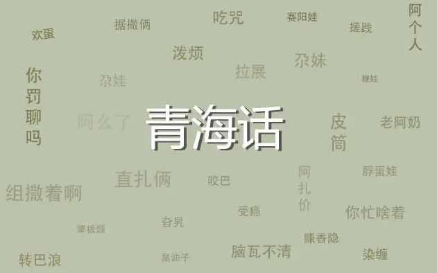 全国各地“十级”方言,第一个我就笑抽了,老家的方言你都懂吗?