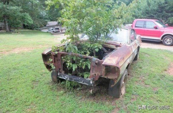 国内野马谢尔比gt500声浪炸街(被遗弃的经典跑车)(16)