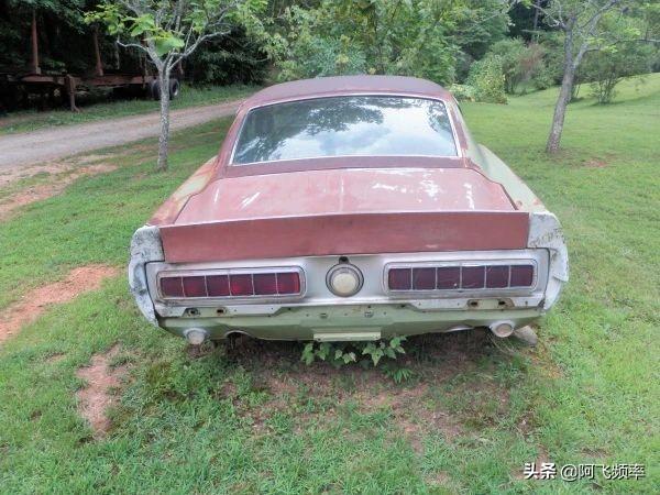 国内野马谢尔比gt500声浪炸街(被遗弃的经典跑车)(13)