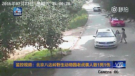 5.地铁/公交:中南海、天安门广场或者万泉河公园、奥林匹克森林公园,八达岭动物园或者园博园。