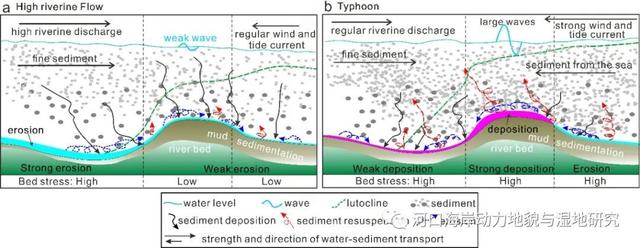 140个台风命名表格(华东师大科研团队新发现)(5)